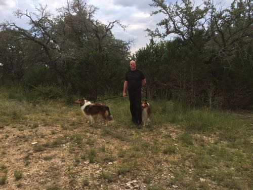 HollywoodHoneytreeColliesBehindTheScenes 23collie.jpg